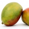 Glaces Sorbet mangue