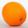 Glaces Sorbet Orange