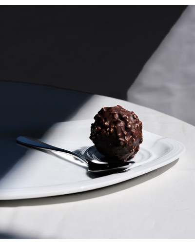 Chocolat Rocher praliné noir ou lait 2