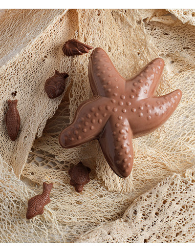Sujets en chocolat de Pâques Etoile de mer chocolat mixte chocolat noir et lait garnie 190g