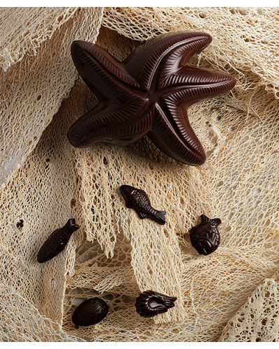 Sujets en chocolat de Pâques Etoile de mer chocolat mixte chocolat noir et lait garnie 190g