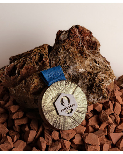 Chocolat Médaille d'or praliné