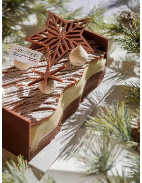 Bûche Glacée Singulière sans gluten