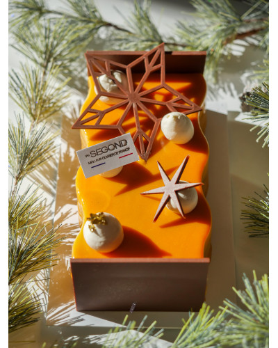 Accueil Bûche Aurore tropicale 4/5 personnes