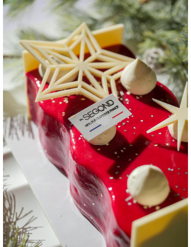 Accueil Bûche Eclipse framboise - Sans gluten - 4/5 personnes