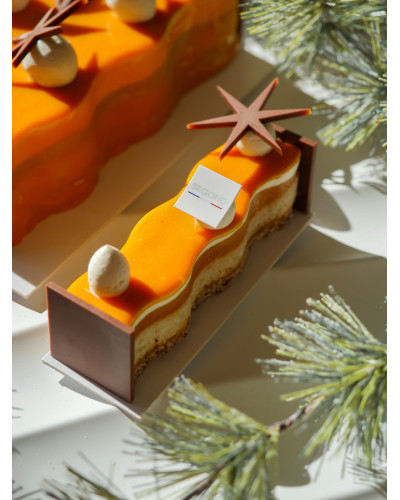 Accueil Buchette Aurore tropicale individuelle