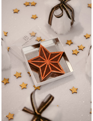 Chocolat Bouchée étoile praliné 80gr