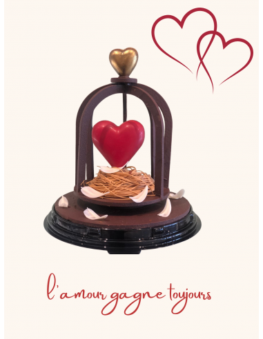 copy of Montgolfière Saint-Valentin 280gr