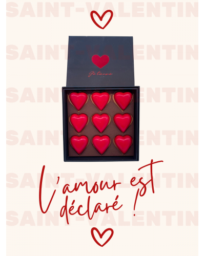 copy of Montgolfière Saint-Valentin 280gr