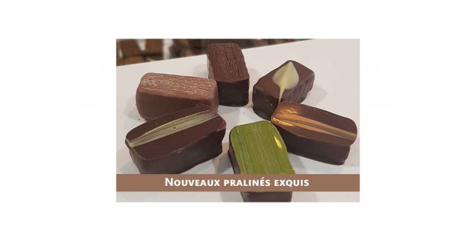 6 Nouvelles recettes de pralinés exquis