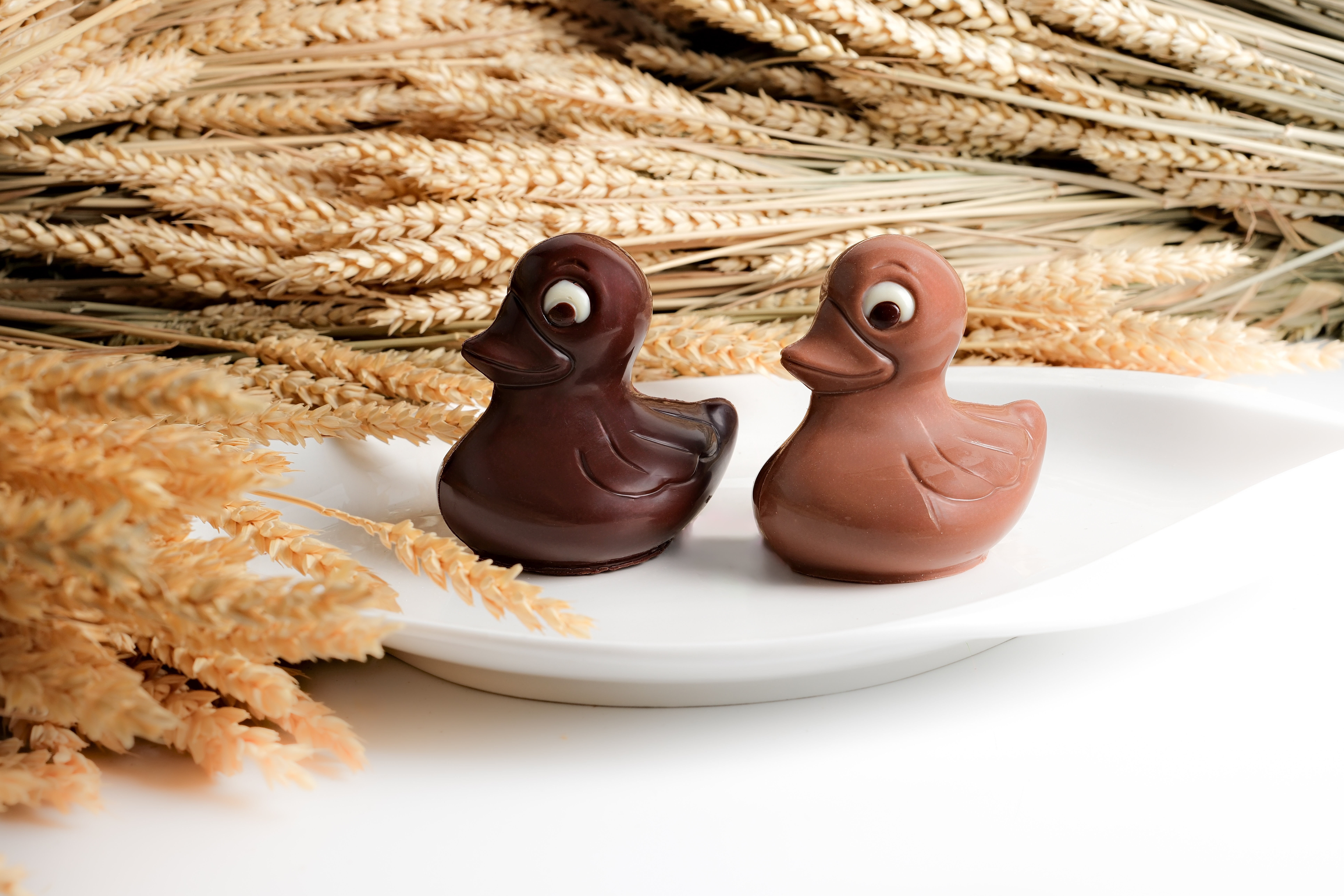 Animaux de P&acirc;ques en chocolat &agrave; Aix-en-Provence